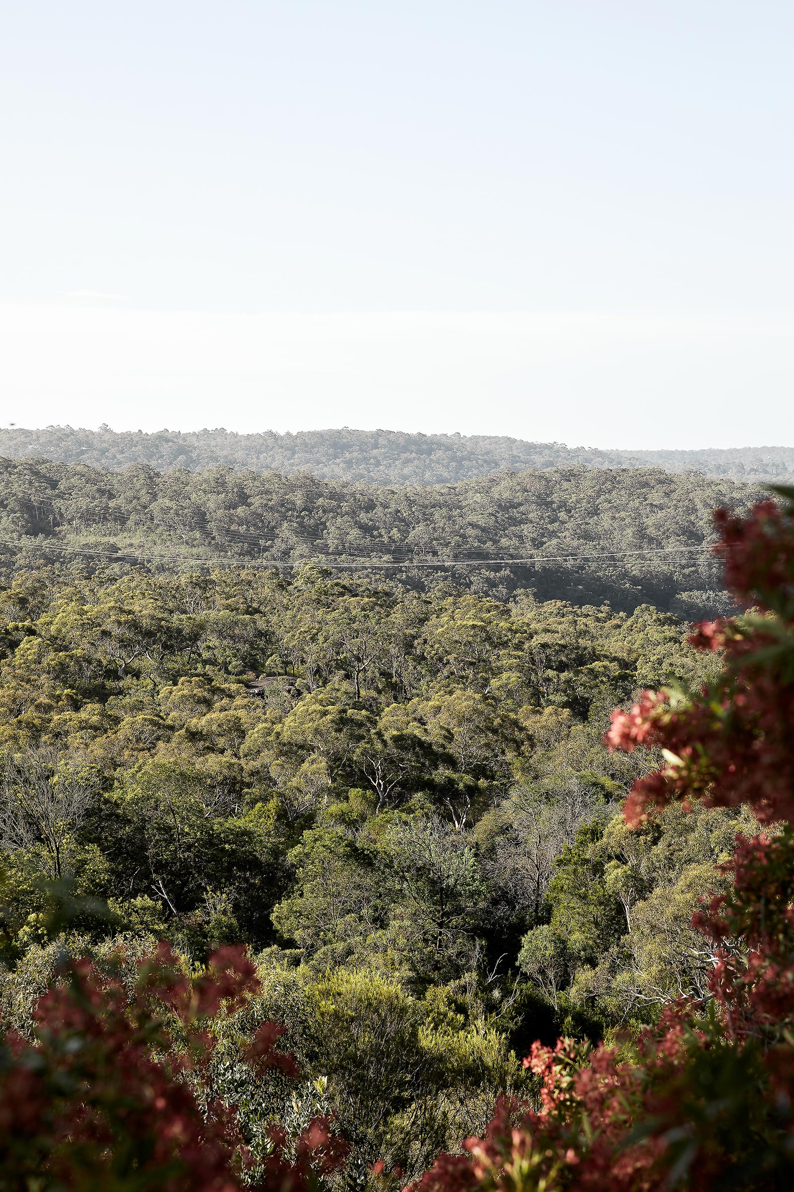 Hornsby Heights